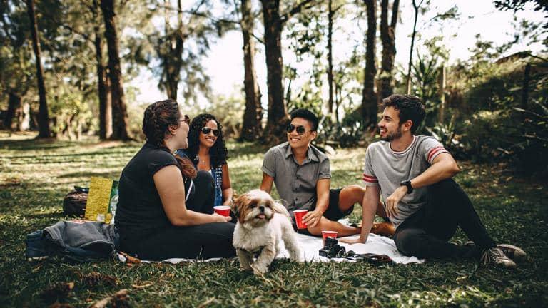Friends having a picnic with a small dog running around